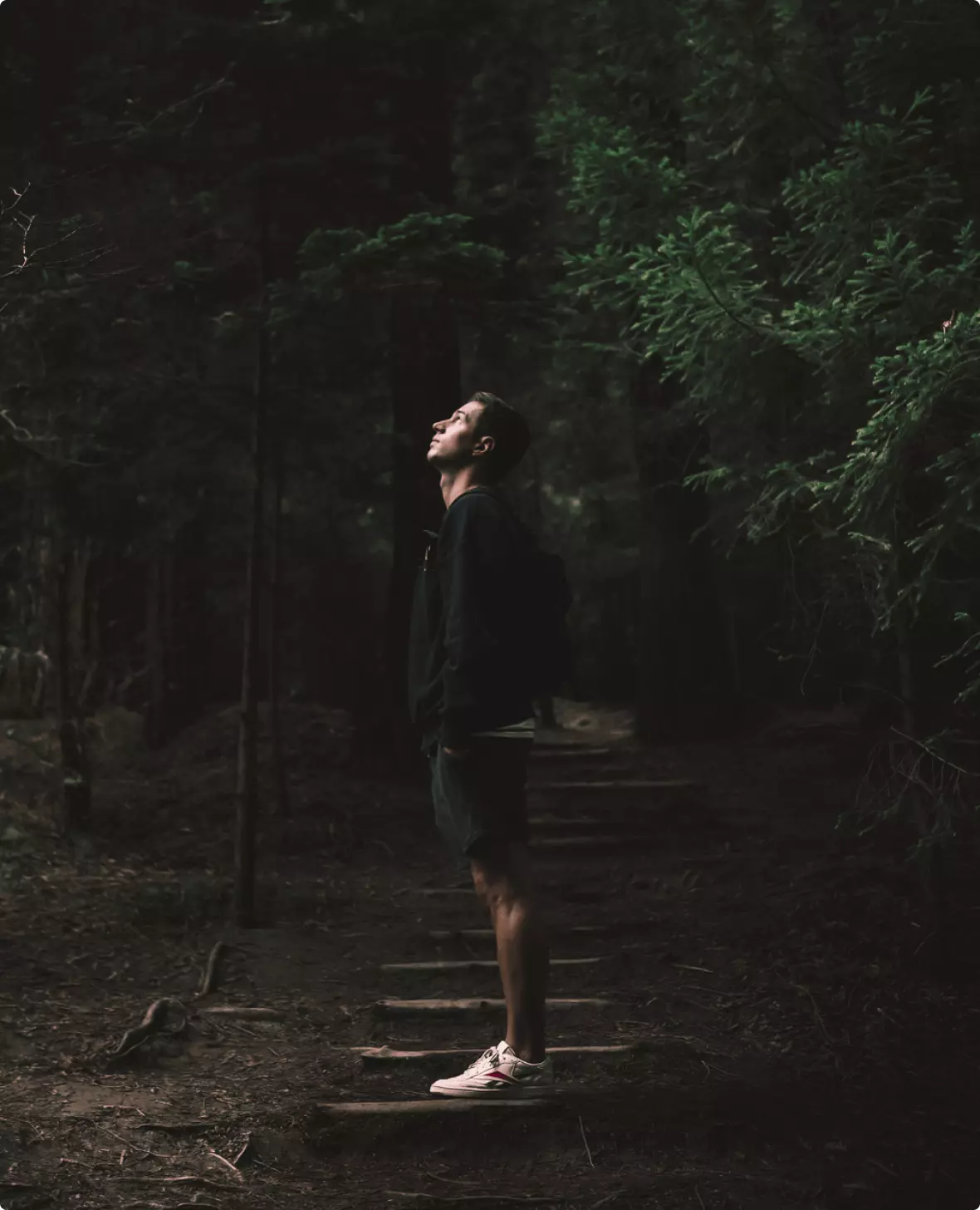 David Gallardo in a forest